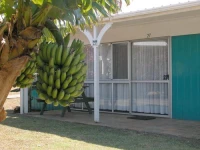 Regal Hibiscus Island 3*