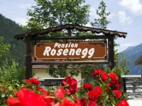 Pension Rosenegg 1*