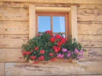 Haus Sonnleitn 2*