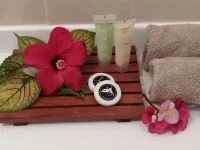 Fletcher Christian Holiday Apartments 3*