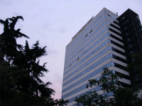 Tirana International