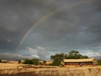 Desert Rhino Camp 4*