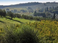 La Fornace Di Racciano 