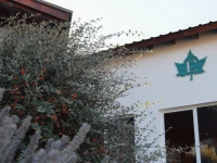 Edenia Punta Soberana 4*