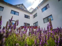 Calafate Parque hotel 4*