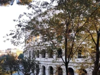 Conte House 