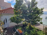Villa Mario 
