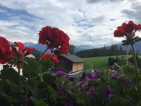 Gasthof Hirschen 