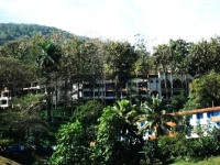 Moka 4*