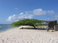 Aruba Dream Villa