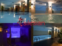Economy Silesian 2*
