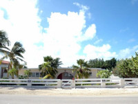Iguana