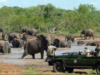 Pondoro Game Lodge