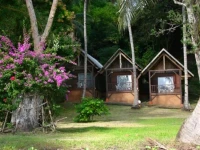 Trevani 4*