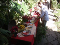 Museo Uxlabil