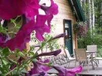 Across the Creek Cabins 1*