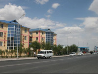 Golden Rose Hotel