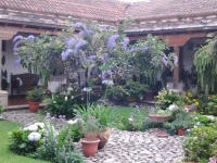 Hostal San Nicolas 4*