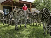 Turaco Lodge 2*