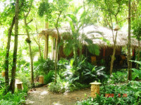 Aonang Tropical