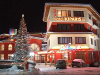 Kiparis Alfa