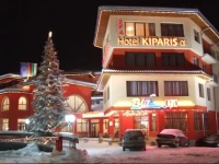 Kiparis Alfa 3*