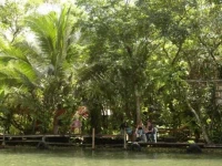 Finca Tatin 2*