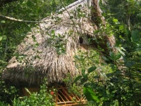 El Hotelito Perdido 3*