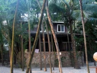 Island Pearl 3*
