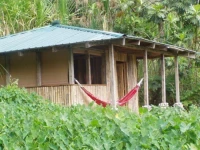 Rainforest Shangri-La Resort 3*