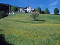 Freudenberg 