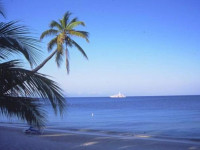 The Colibri Hill Resort