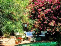 El Vino Hotel & Suites 