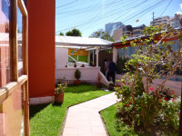 Andino
