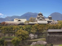 Kumamoto Hotel Castle 4*
