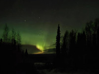 Alaska Grizzly Lodge
