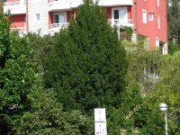 Villa Katarina 4*
