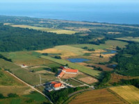 Erania