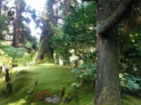 Volcano Country Cottages 