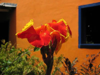 Hotel Estrella