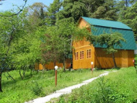 Kamarit