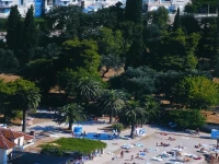Komodor 3*