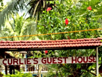 Curlies Guest House