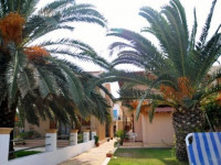 Evgenios Studios