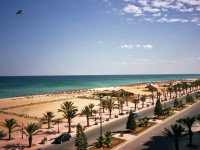 Fortuna Hammamet