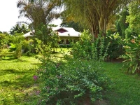 Villa Rafia 