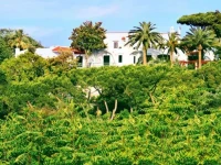 Myage Hotel 4*