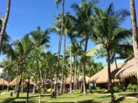South Palms Resort Panglao 5*