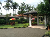 Camellia Dwelling