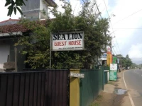 Sea Lion Guest House 2*